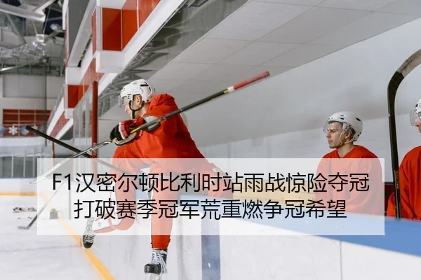 han-mi-er-dun-bi-li-shi-zhan-yu-zhan-jing-xian-duo-guan-da-po-sai-ji-guan-jun-huang-zhong-ran-zheng-guan-xi-wang-2-545.jpg